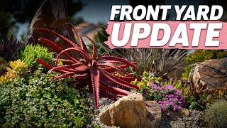 Walkabout Wednesday | Front Yard Fall Update