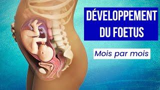 LA GROSSESSE : Le Développement du Foetus Mois par Mois