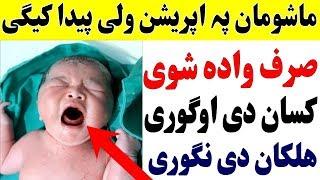 Mashoman pa apreion wale peda kege || pashto click