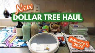 New DOLLAR TREE HAUL!  Wish List Find!  February 1, 2024