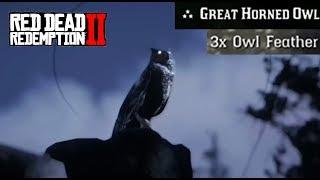 Where To Find an Owl CONSISTENT SPAWN! - Red Dead Redemption 2 Owl Feathers Location Guide (RDR2)