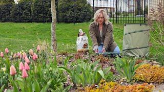 How To Get Astilbe to Bloom, Spring Garden Cleanup, April Garden Blooms.