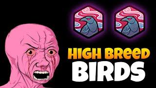 HIGH BREED BIRDS THAT WILL DOMINATE SEASON 1! - AXIE ORIGIN