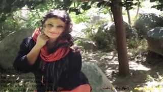 Roya Dost & Shawqiibra | REMIX | مهر و وفا !| دروغ است, دروغ است,دروغ است