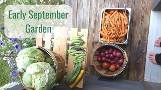 Life in a Tiny House called Fy Nyth - Early September Garden