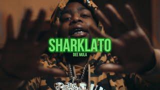 (FREE) Dee Mula x Big30 | Memphis Type Beat 2024 - "Sharklato"