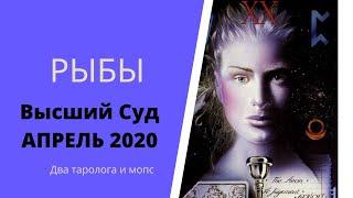 Высший суд. Апрель 2020. РЫБЫ