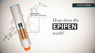 How does the EpiPen work?