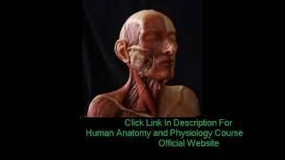 Anatomy and Physiology | Human Anatomy & Physiology Study Course Review Pdf