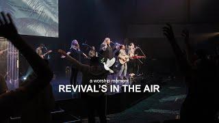 Revival's In The Air ️ - Tehillah Worship | A Moment in Worship