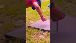 nail me punch  rakh kar push up  #shorts#youtubeshorts #viral #fitness #gymworkout #