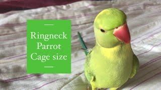 What Cage Size is BEST For Ringneck Parrots | Safety & More