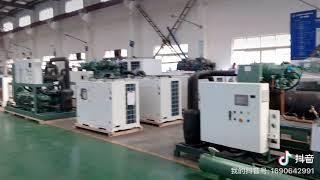 Factory Shanghai Xurui piston screw scroll parallel condensing unit manufacturer