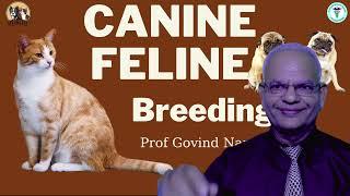 Canine and Feline Reproduction | Essential Guide by GNP Sir