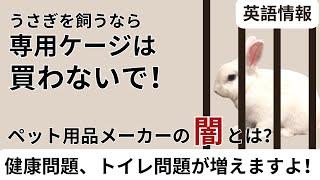 ケージ飼育による負の連鎖　うさ活３