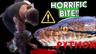 Giant Python Snake Bites And Wraps (Woman Owner) Handlers Arm Snake-Animal Attacks Caught In Camera