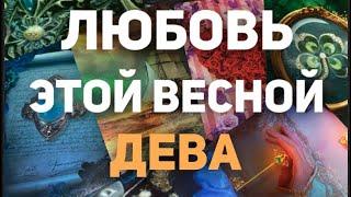 ️ДЕВА. Таро прогноз- Личная жизнь - Март/Апрель/Май 2024. Расклад от Татьяны КЛЕВЕР