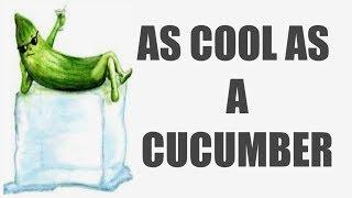 As cool as a cucumber