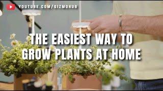 Gizmo Hub | NANO GARDEN: FROM SEED TO PLANT IN A TINY GARDEN