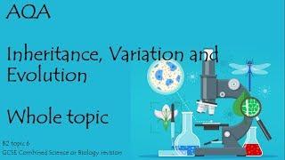 The whole of AQA INHERITANCE, VARIATION and EVOLUTION. 9-1 GCSE Biology combined science for paper 2