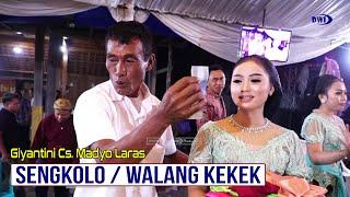 Giyantini Cs Madyo Laras ( Sengkolo - Walang Kekek ) Dwi Pro - Niko Jaya