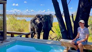 Wilderness Vumbura Plains, 5-star luxury in Botswana's Okavango Delta (lodge tour & safari)