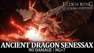 Ancient Dragon Senessax Boss Fight (No Damage / NG+7) [Elden Ring DLC]