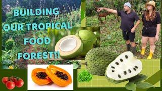 5 Hectares Tropical Food Forest! how we are building it