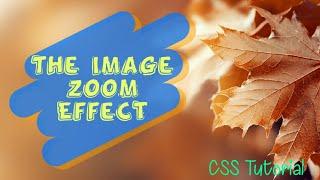 The Image Zoom Effect - CSS Tutorial | 2020