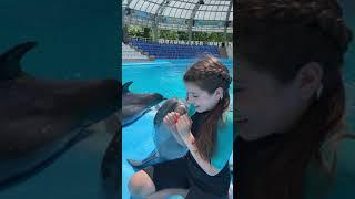 Поцелуй дельфина 