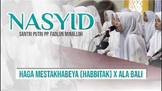 NEW!! NASYID HAGA MESTAKHABEYA (habbitak) x ALA BALI - SANTRI PUTRI PP. FADLUN MINALLOH