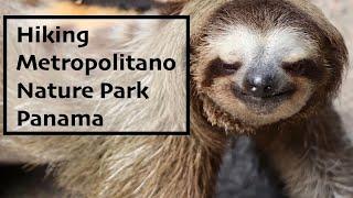 Hiking Review - Metropolitano Nature Park, Panama City, Panama