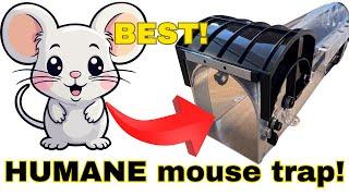 BEST Humane Mouse Trap - BEST Catch and Release Mouse Trap