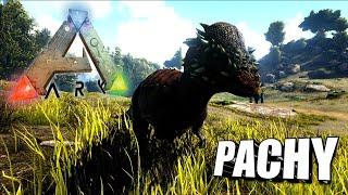 Taming A Pachy | Ark Survival Evolved | The Island