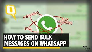 How to Send Bulk WhatsApp Messages | The Quint