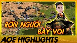 SIÊU PHẨM bật ngược Timeline - Chim Sẻ LÙA 3 KÍCH VOI san phẳng thánh địa VEC | AoE Highlights