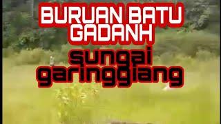 BURUAN BASOSOH BATU GADANG SUNGAI GARINGGIANG