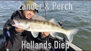 JLpikeBUSTERS NL - Zander & Perch op het Hollands Diep - Met Herman Schuurman