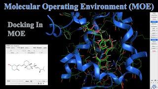 How To Dock Ligands In MOE | MOE Tutorial