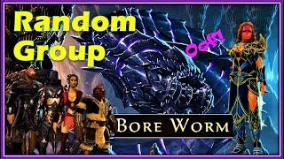 Mod 19 Paladin Healing in LoMM - Part 2 the Bore Worm - Neverwinter 2020