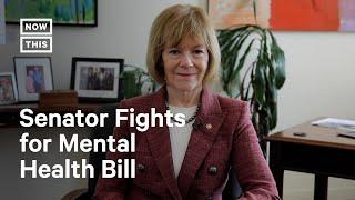 Mental Health Legislation Intro'd by Senator Tina Smith