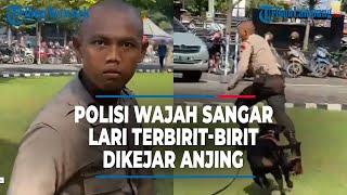 Polisi pasang muka sangar saat latih anjing, ujungnya malah kabur