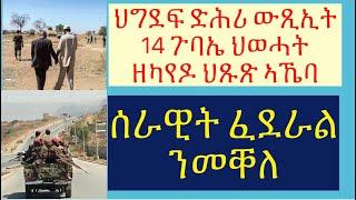 #ምትእትታው ፈደራል ናብ መቐለ #ህግደፍ ጉባኤ ህወሓት ደጊፉ #lbonatv #eritreanews #tigraynews