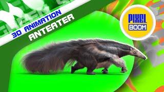 Green Screen Anteater Hunter of Ants 3D Animations PixelBoom