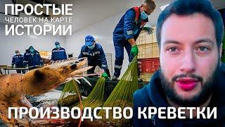 Shrimp farm in Crimea. Креветочная ферма в Крыму