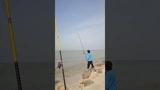 surf casting with Shimano setup