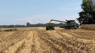 Corn Harvest 2021