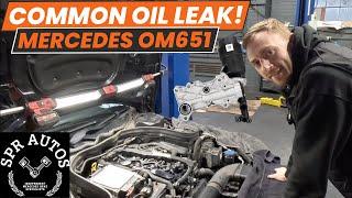 COMMON MERCEDES OM651 CDI OIL LEAKS! + EXTRAS WHILE WERE IN THERE! HOW MUCH!?