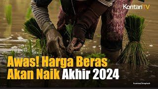 Waspada  Harga Beras Berpotensi Naik Akhir tahun 2024 | Kontan News