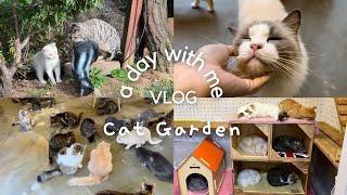 vlog a day with me  play with cats  고양이정원 cat garden in seoul